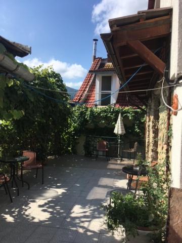 Fantasy Terasa Apartment Brasov Exterior photo